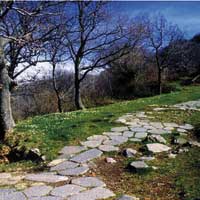 Strada romana del Tuscolo