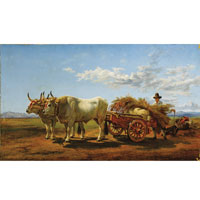 Buoi nella campagna romana Buoi nella campagna romana
