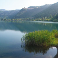 Lago di Nemi Lago di Nemi